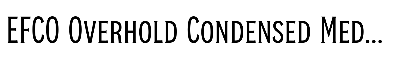 EFCO Overhold Condensed Medium